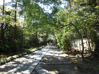 北条政子と実朝の供養塔のある寿福寺の参道