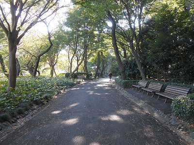 江戸城　松の廊下跡付近